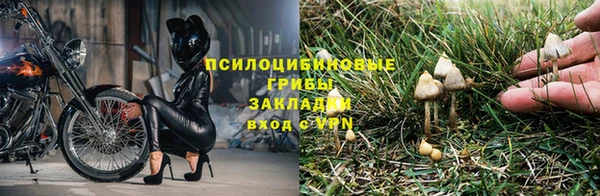 мет Нязепетровск